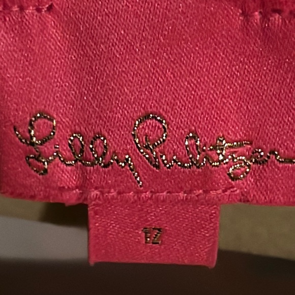 Lilly Pulitzer girls dress - Picture 3 of 5